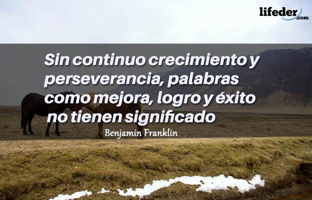 +100 Frases curtas de sucesso (pessoal e profissional) 20