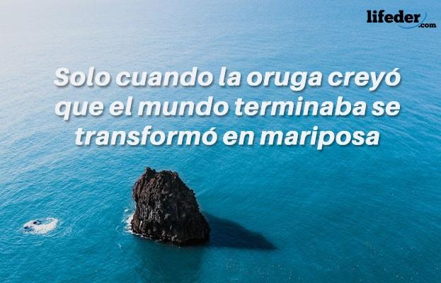 +100 Frases curtas de sucesso (pessoal e profissional) 46