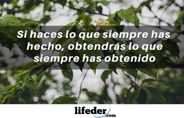+100 Frases curtas de sucesso (pessoal e profissional) 53