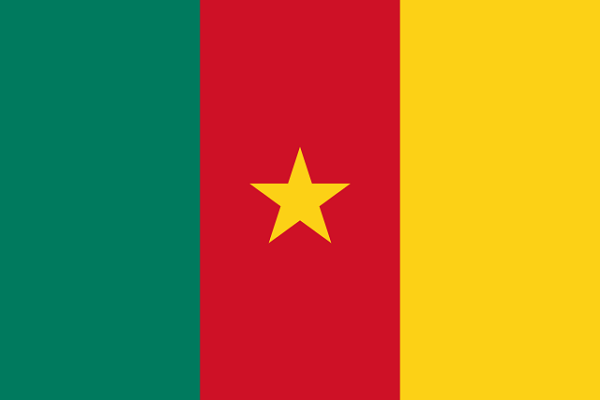 Bandeira dos Camarões: História e Significado 1