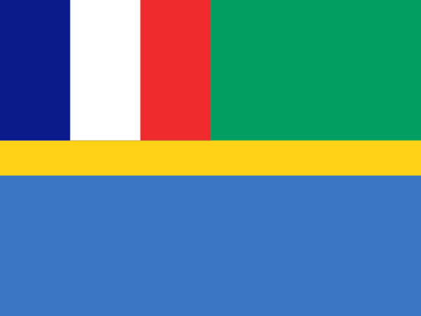 Bandeira do Gabão: história e significado 4