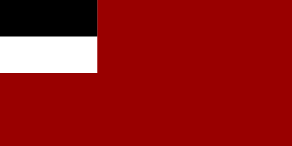 Bandeira da Geórgia: história e significado 10