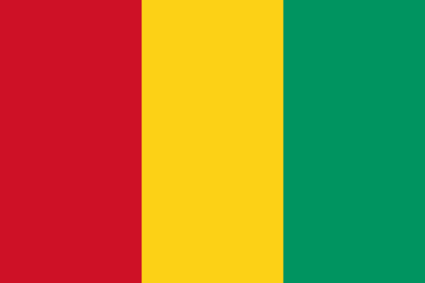 Bandeira da Guiné: história e significado 1