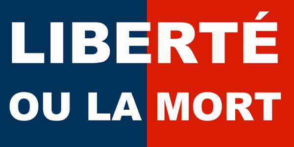 Bandeira do Haiti: história e significado 5