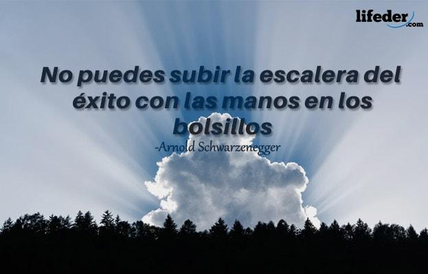 +100 Frases curtas de sucesso (pessoal e profissional) 74