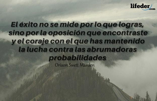 +100 Frases curtas de sucesso (pessoal e profissional) 81