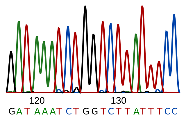 DNA: história, funções, estrutura, componentes 9