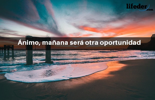 Os 110 melhores apoios e incentivos 3
