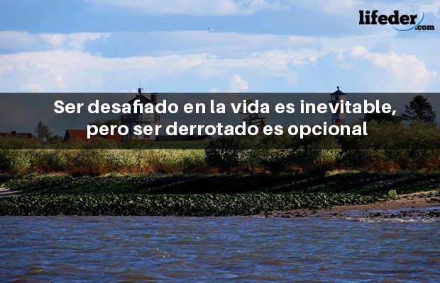 Os 110 melhores apoios e incentivos 9