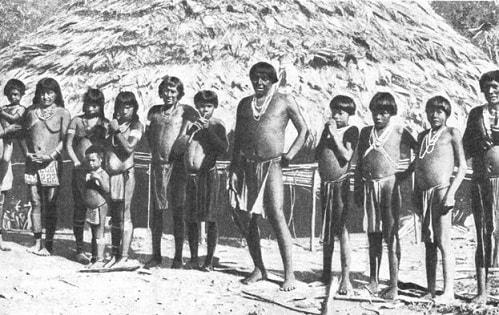 Arahuacos: História, Cultura e Costumes 1