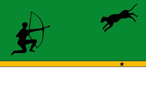 Bandeira do Amazonas (Colômbia): história e significado 1