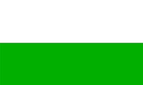 Bandeira de La Guajira: História e Significado 1