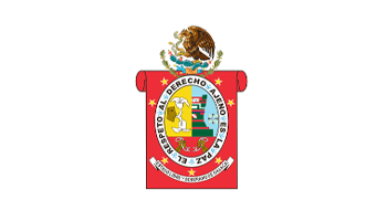 Bandeira de Oaxaca: História e Significado 1