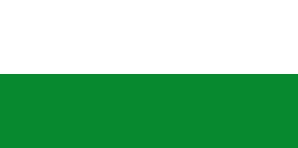 Bandeira de Antioquia: História e Significado 1