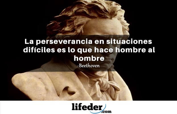 As 61 melhores frases de Beethoven 15