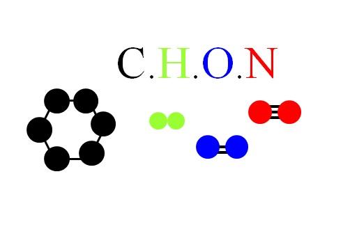 Chon Caracteristicas Comuns Particularidades E Moleculas Maestrovirtuale Com
