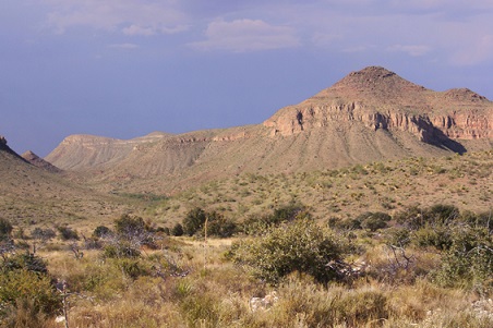 Deserto de Chihuahua: características, relevo, flora, fauna 1