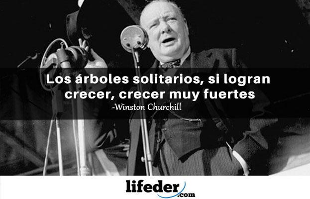 As 100 melhores frases de Winston Churchill [com imagens] 13