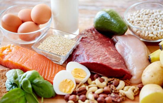 Como os nutrientes ou nutrientes são classificados? 26