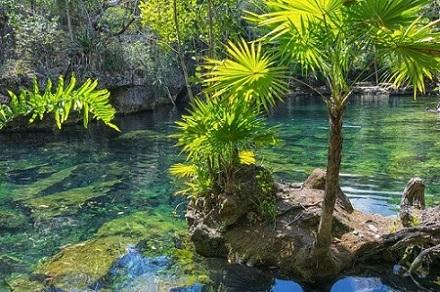 Quais são os componentes naturais do México? 11
