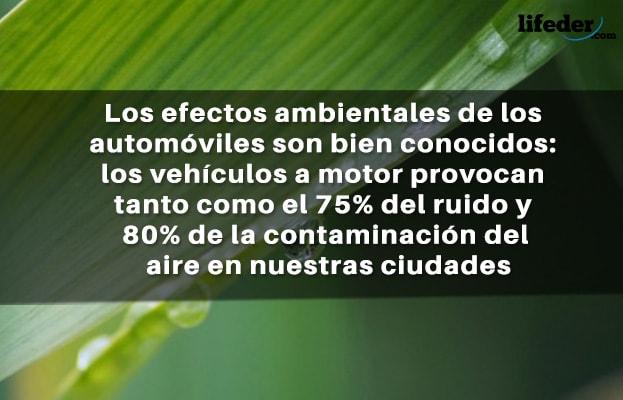 45 Frases sobre Poluição Ambiental 15
