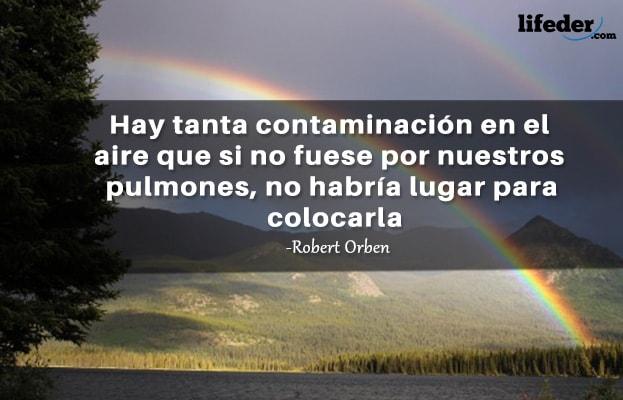 45 Frases sobre Poluição Ambiental 16