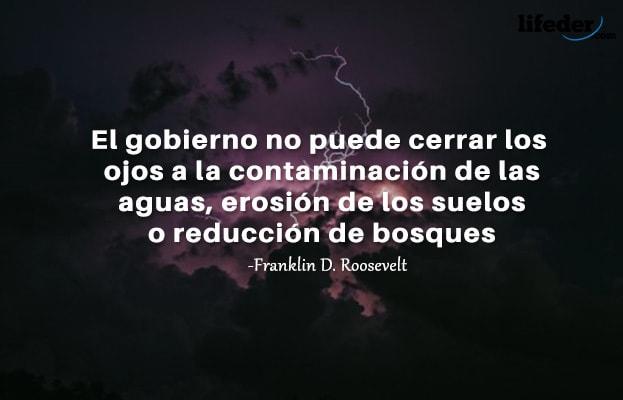 45 Frases sobre Poluição Ambiental 17