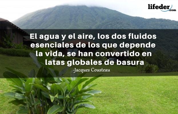 45 Frases sobre Poluição Ambiental 19