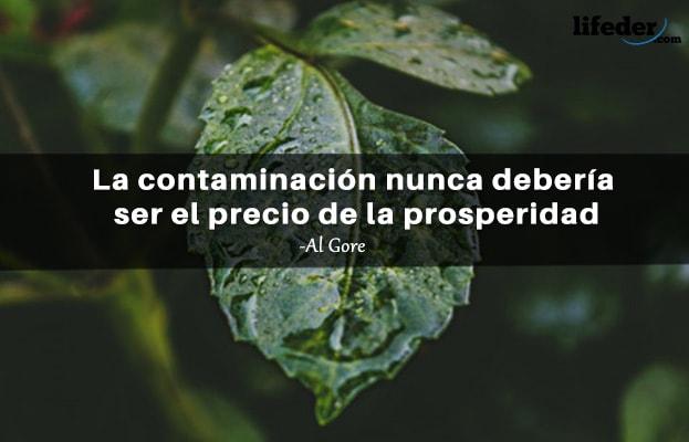45 Frases sobre Poluição Ambiental 4