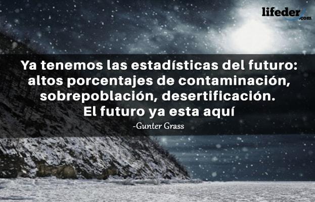 45 Frases sobre Poluição Ambiental 6