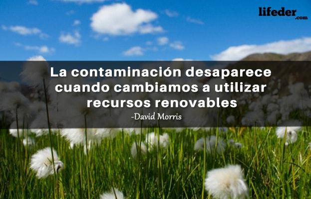 45 Frases sobre Poluição Ambiental 7