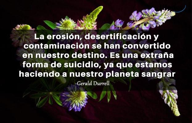 45 Frases sobre Poluição Ambiental 8