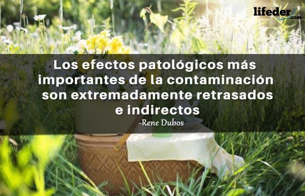 45 Frases sobre Poluição Ambiental 9