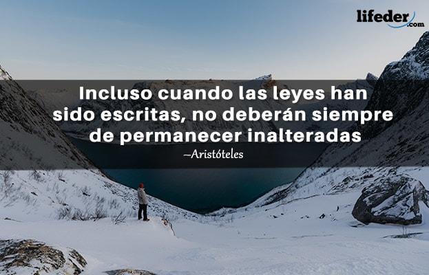 As 100 Melhores Frases de Direito 12