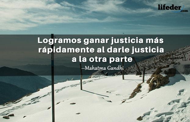 As 100 Melhores Frases de Direito 13