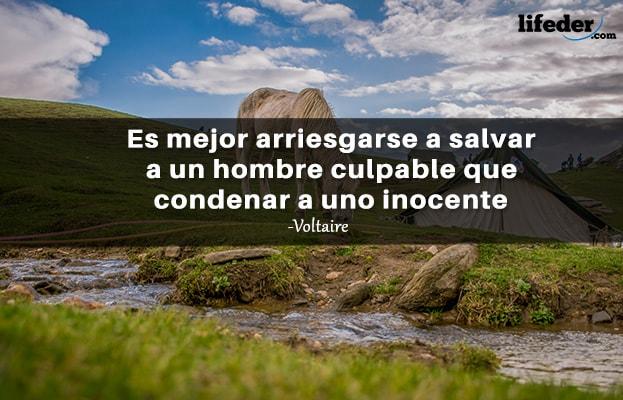 As 100 Melhores Frases de Direito 14