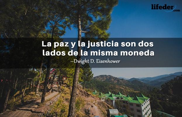 As 100 Melhores Frases de Direito 16