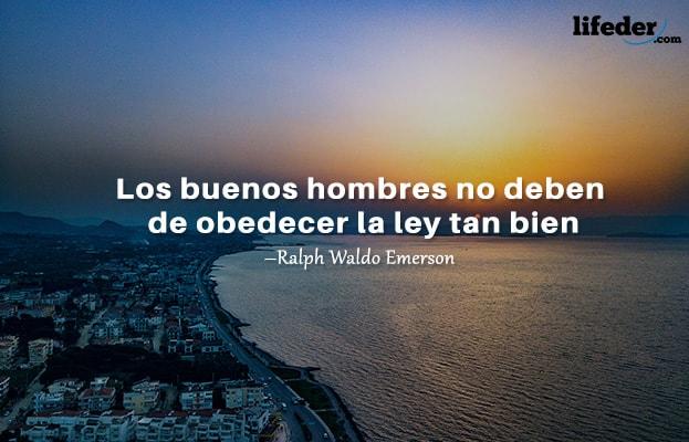As 100 Melhores Frases de Direito 17