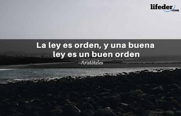 As 100 Melhores Frases de Direito 18