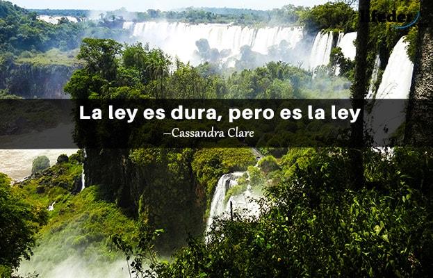 As 100 Melhores Frases de Direito 20