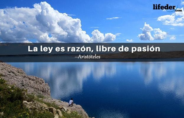 As 100 Melhores Frases de Direito 3