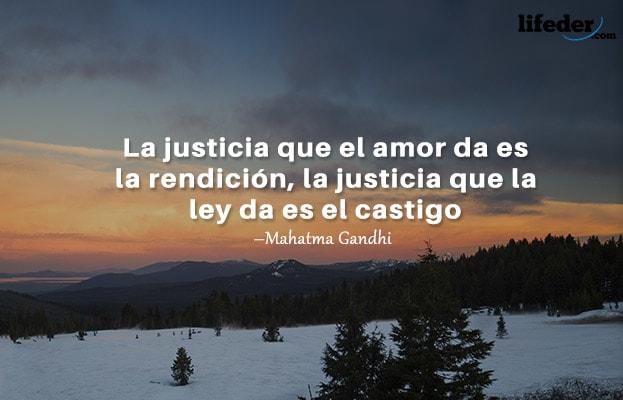 As 100 Melhores Frases de Direito 4