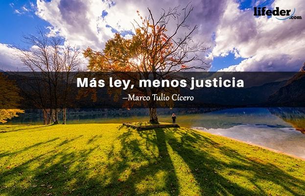 As 100 Melhores Frases de Direito 5