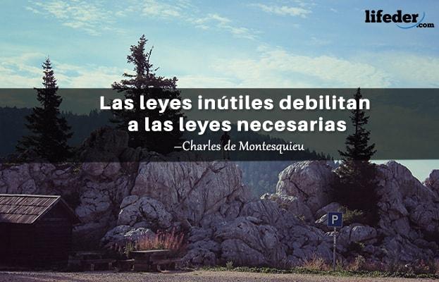 As 100 Melhores Frases de Direito 6