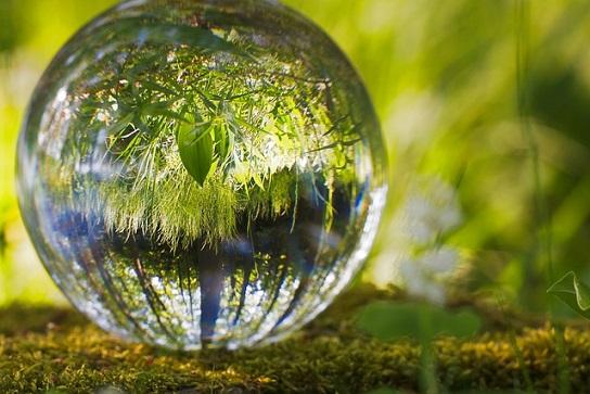Ecodesenvolvimento: origem, impedimentos e exemplos 20
