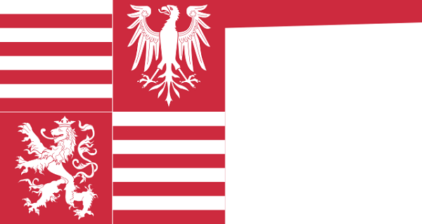 Bandeira da Hungria: história e significado 8