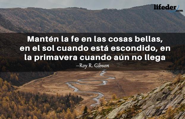 61 frases bonitas de fevereiro 14