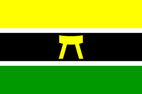 Bandeira de Gana: história e significado 5