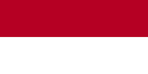 Bandeira da Letônia: história e significado 6