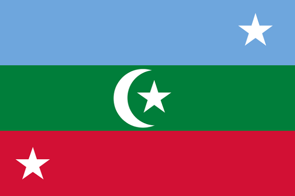 Bandeira das Maldivas: história e significado 8